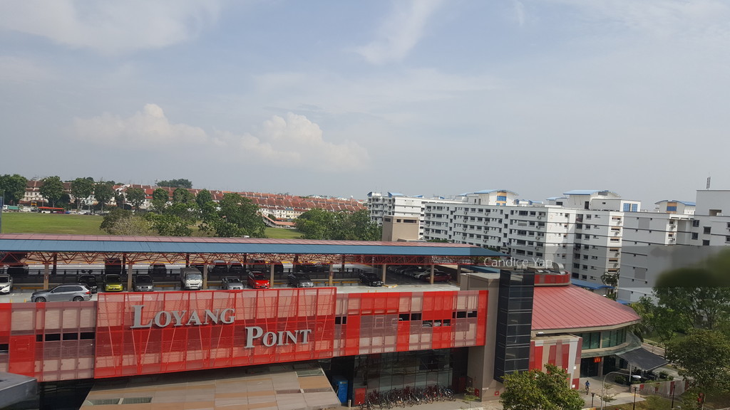 Blk 256 Pasir Ris Street 21 (Pasir Ris), HDB Executive #154547262